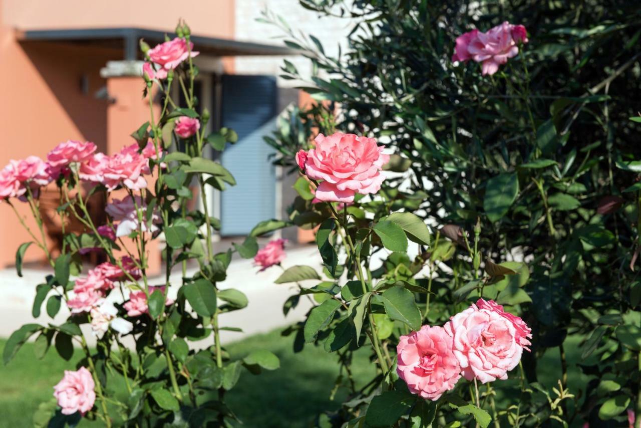 Girasole Villa Limni  Exteriér fotografie
